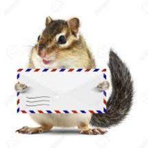 Additional Shipping Label For Live Shows!